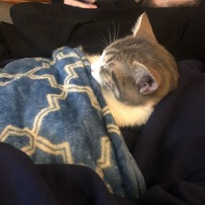 Meet your Posher, Kim